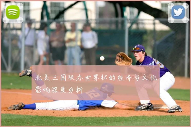 北美三国联办世界杯的经济与文化影响深度分析