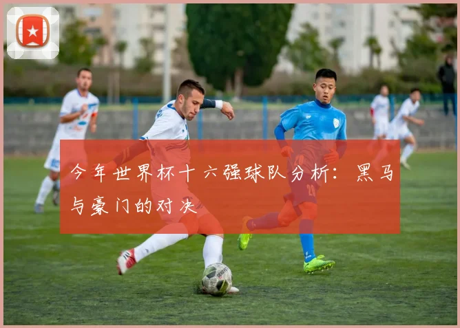 今年世界杯十六强球队分析：黑马与豪门的对决