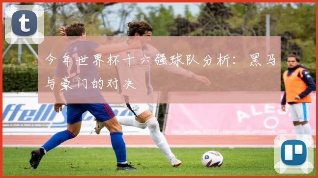 今年世界杯十六强球队分析：黑马与豪门的对决