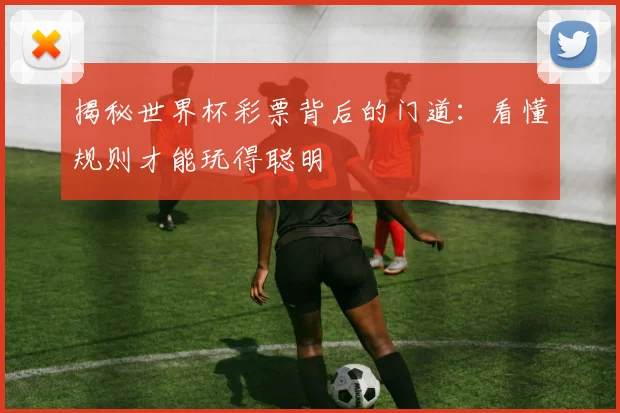 揭秘世界杯彩票背后的门道：看懂规则才能玩得聪明
