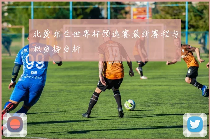 北爱尔兰世界杯预选赛最新赛程与积分榜分析