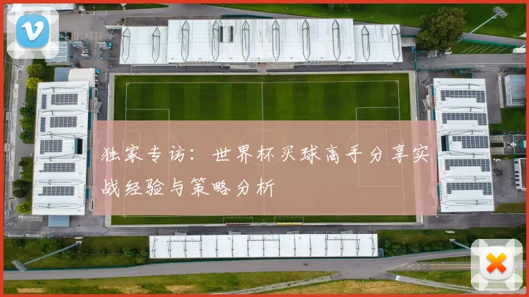 独家专访：世界杯买球高手分享实战经验与策略分析