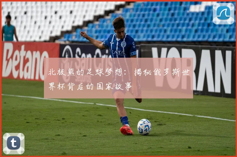 北极熊的足球梦想：揭秘俄罗斯世界杯背后的国家故事