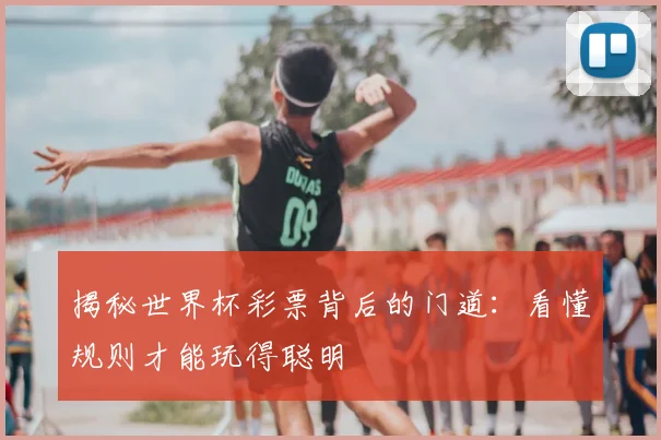揭秘世界杯彩票背后的门道：看懂规则才能玩得聪明