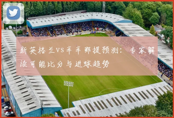 新英格兰vs辛辛那提预测：专家解读可能比分与进球趋势